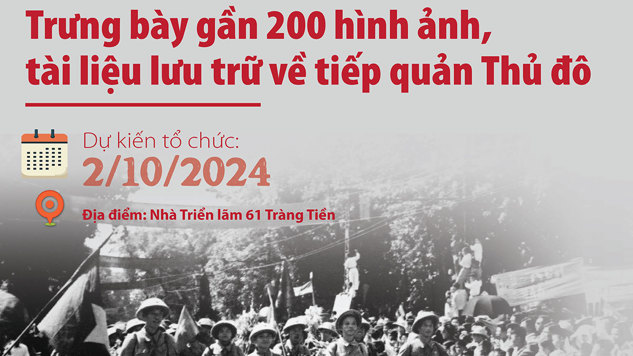 trò chơi điện tử 208